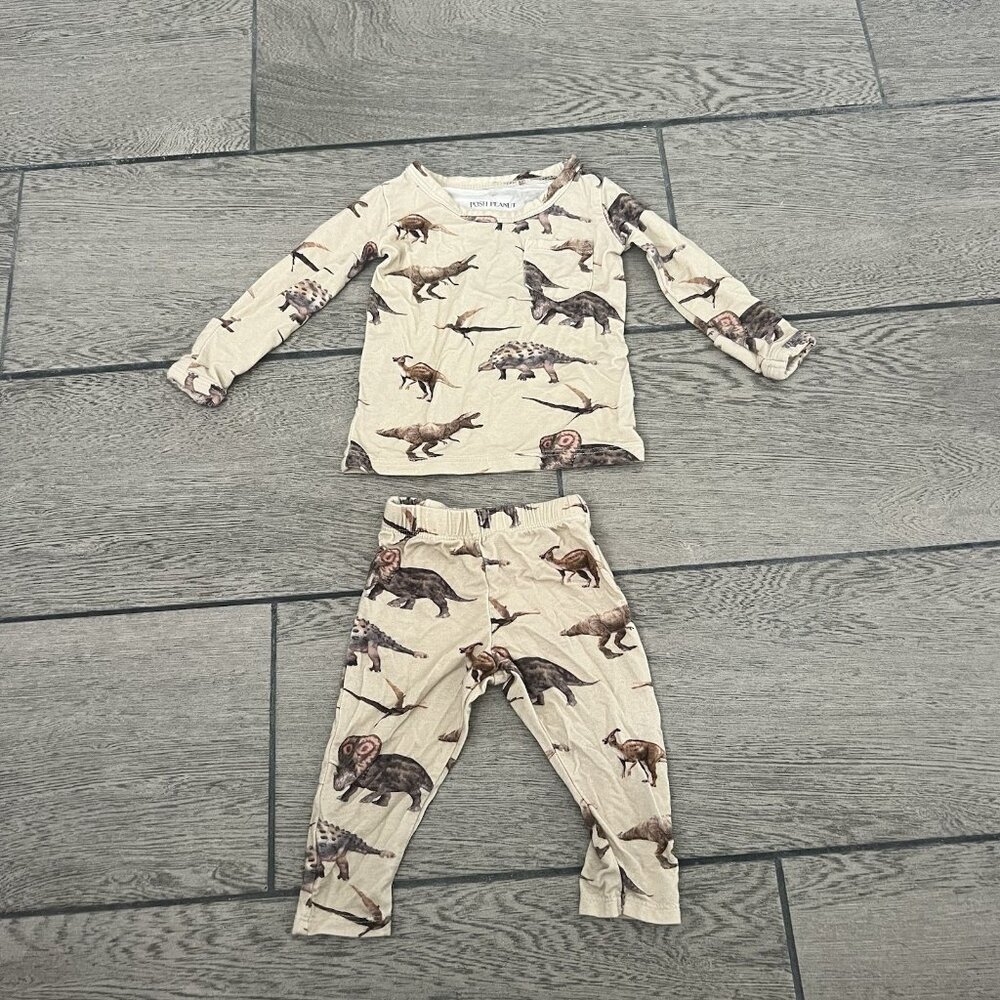 Posh Peanut Dinosaur Pajamas 0-3 Months  (257)